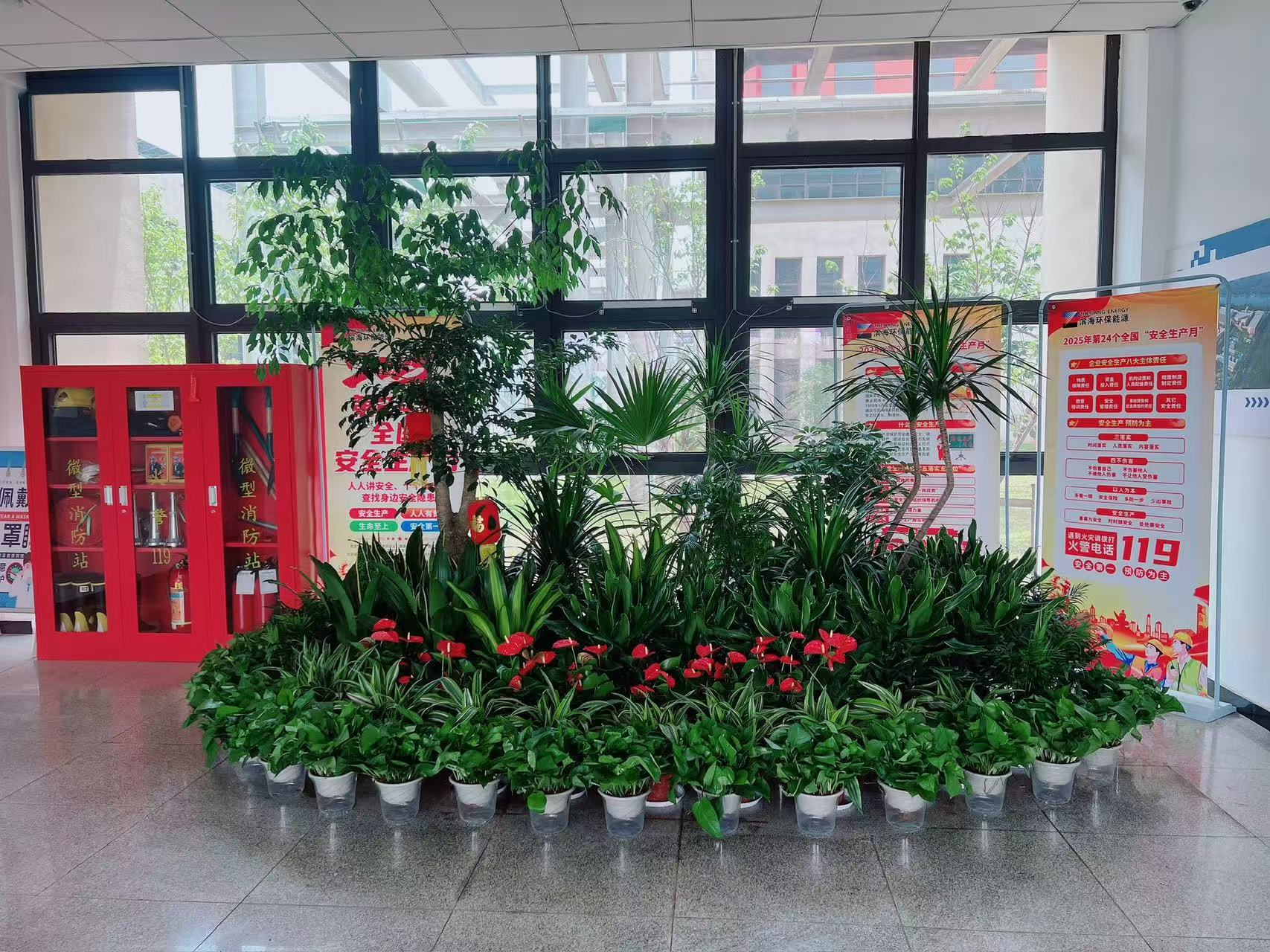 宁波海曙盆景租摆哪家好